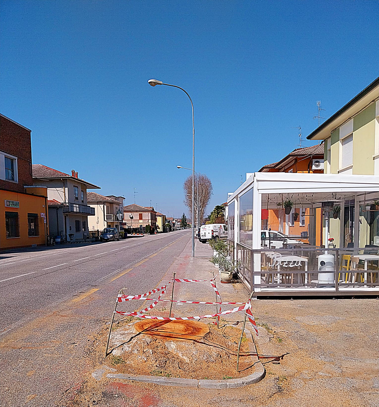 Vigarano: taglio degli alberi. Richiesta di Agnese De Michele